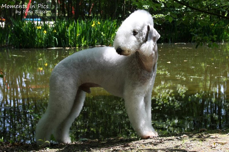 2010-05-23 Airis Blue Volshebny Svet (6)_1500x1000.jpg